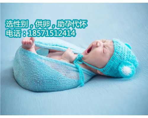 代孕机构北京试管婴儿中介价格是多少？试管婴